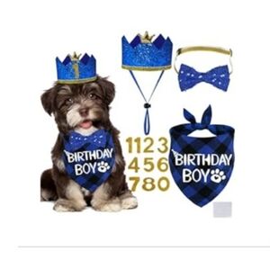 Blue Birthday Boy Dog Outfit Set